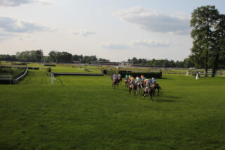 Vue Piano Chevaux de l'Anjou-Loire Challenge 2023